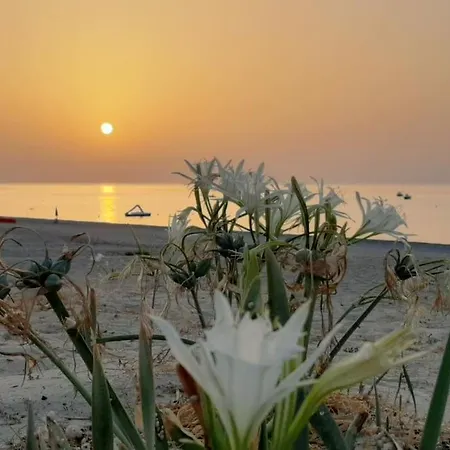 Casa Lulu Due Minuti Dal Mare Lejlighed Ardore Marina