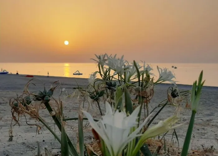Casa Lulu Due Minuti Dal Mare דירה Ardore Marina